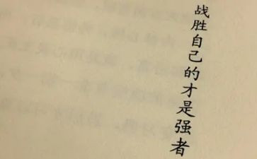 我战胜了懒惰作文5篇