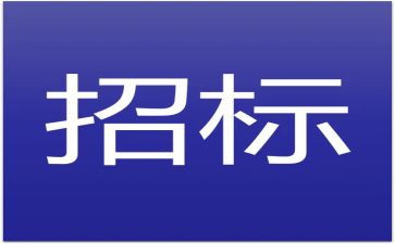 招标代理公司年终工作总结6篇