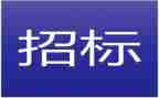 招标代理公司年终工作总结6篇