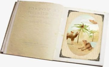 生活哲理类的作文6篇