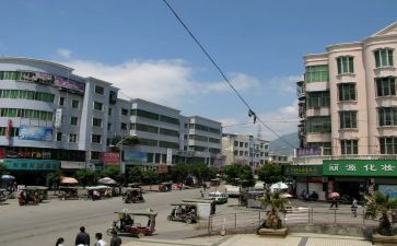 镇领导述职报告范文模板5篇