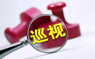 查问题抓整改心得8篇
