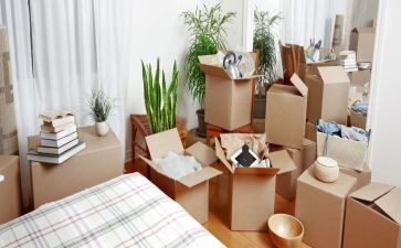 中班《我会整理》教案5篇