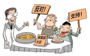 争论的作文优质6篇