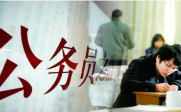 政审工作总结范文8篇