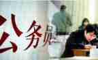 政审工作总结范文8篇