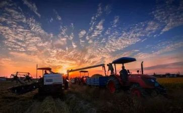 食物真好吃教案5篇