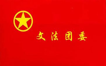 乡镇团委书记述职报告6篇