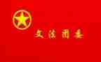 乡镇团委书记述职报告6篇