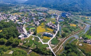 乡村振兴述职报告5篇