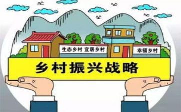乡村振兴工作心得体会6篇