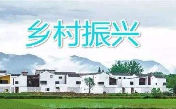 乡村振兴个人典型事迹8篇