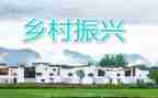 乡村振兴专干述职报告6篇