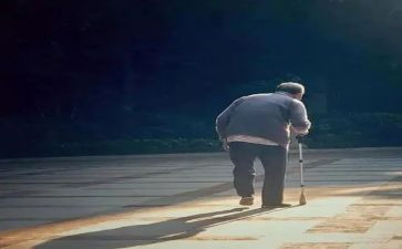 真挚作文精选5篇