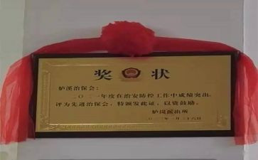 2024村治保主任的述职报告5篇