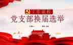 镇各党支部换届工作总结7篇