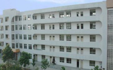 职高班主任工作总结8篇
