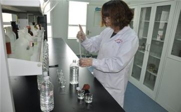 2024年质量工作总结范文6篇