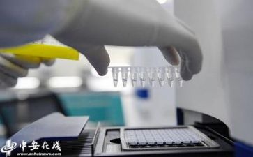 2024年质量月活动总结精选7篇