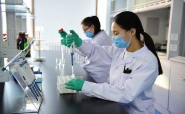 2023质量月工作计划推荐8篇