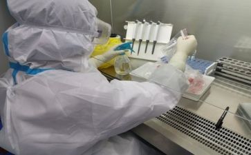 2024年质量月活动总结精选8篇
