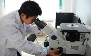 2024年质量月活动总结8篇