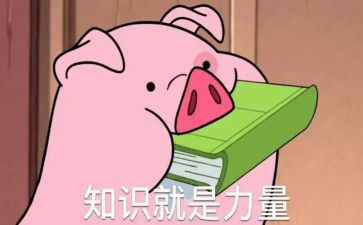 金融知识活动宣传总结7篇