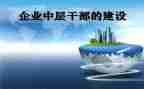 中层的述职述廉报告6篇