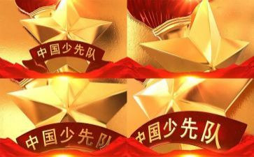 三中队工作总结模板5篇