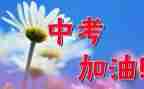 中考的心得体会8篇