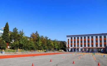 2024年中心校校长述职报告7篇