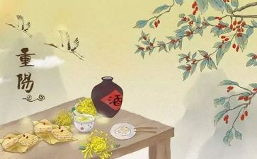 村重阳节活动方案和总结6篇