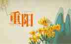 重阳节感恩活动方案模板6篇