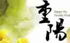 幼儿园重阳节主题活动教案8篇