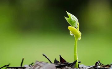 种子课2.0读书心得体会7篇