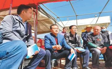 驻村干部个人述职报告精选5篇