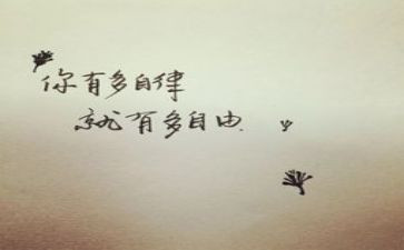 个人总结廉洁自律总结优质7篇