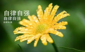 自立与自强作文600字7篇