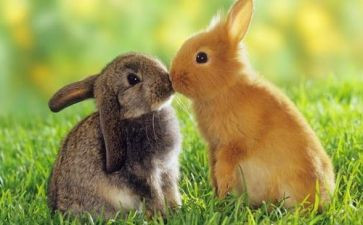 走进爱作文600字5篇