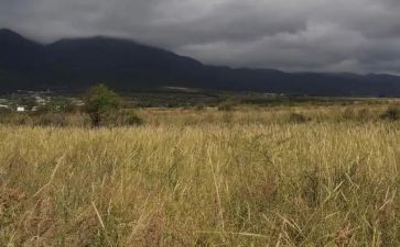 新房屋租赁合同通用5篇