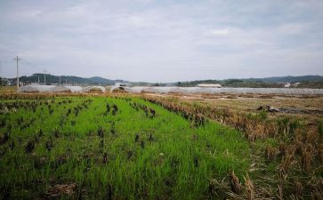租赁写字楼合同模板6篇