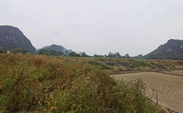 新房屋租赁合同最新7篇