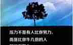 我的人座右铭作文优秀7篇